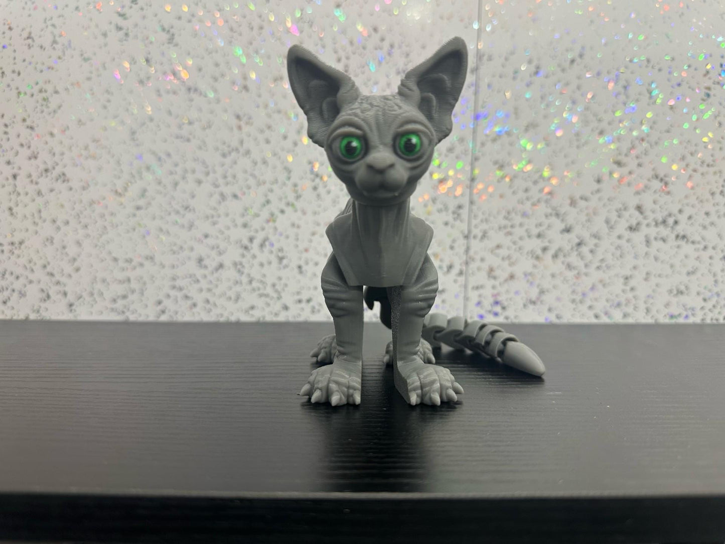 Sphynx Cat