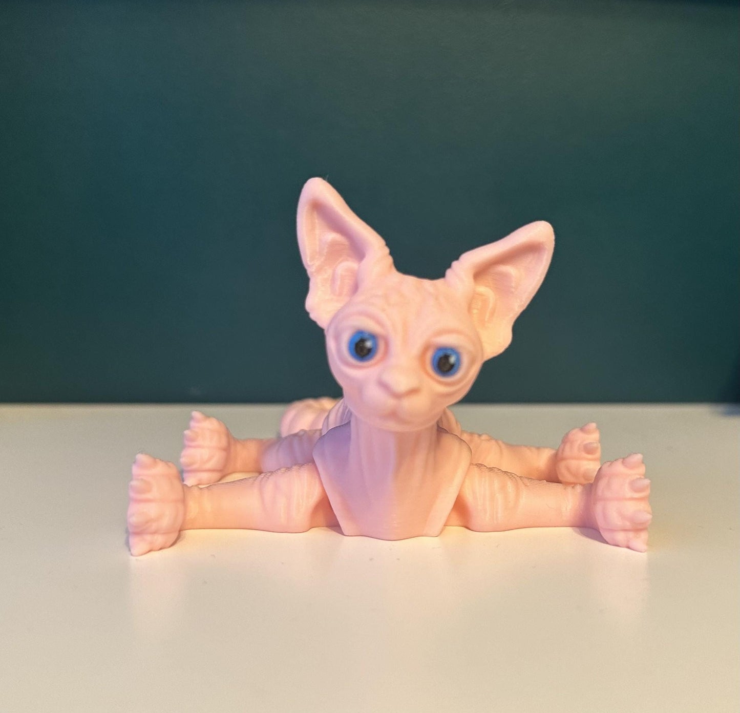 Sphynx Cat