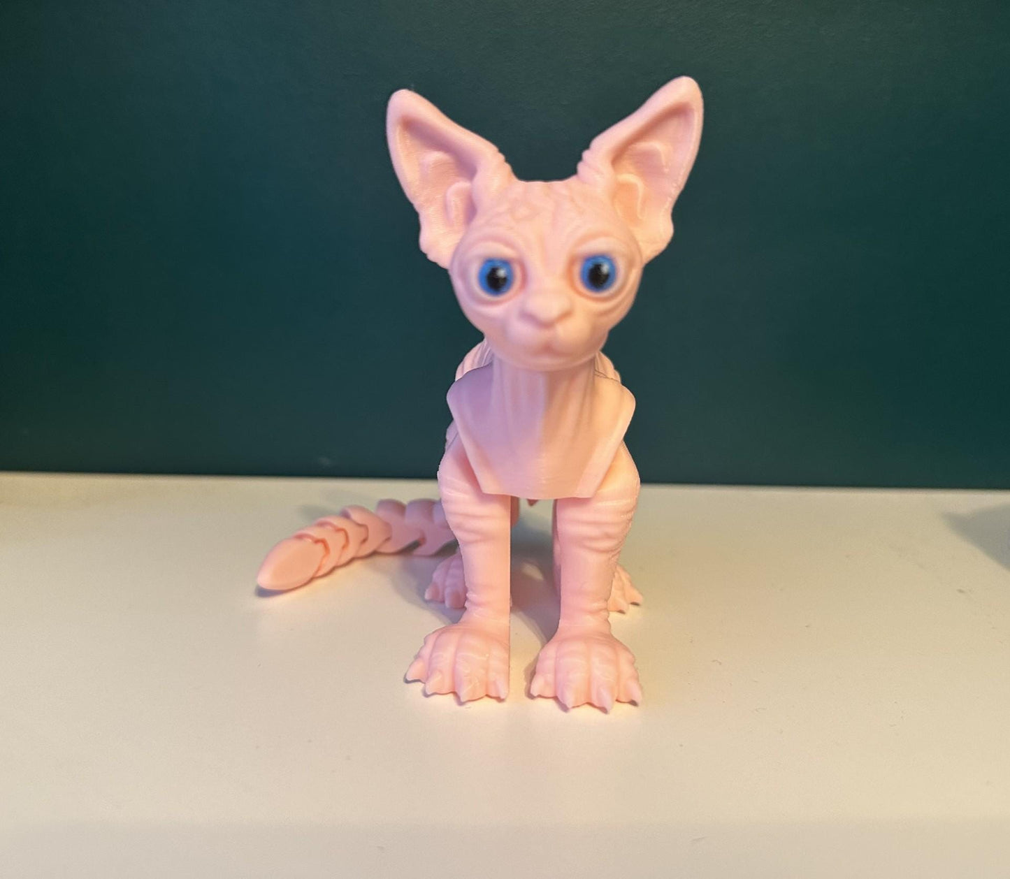 Sphynx Cat
