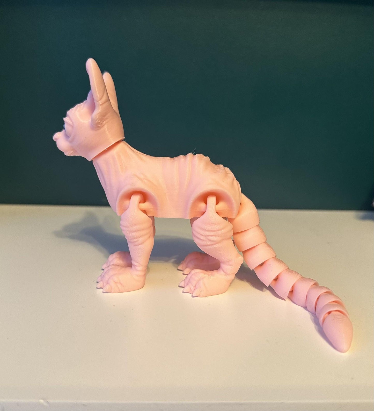 Sphynx Cat
