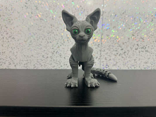 Sphynx Cat