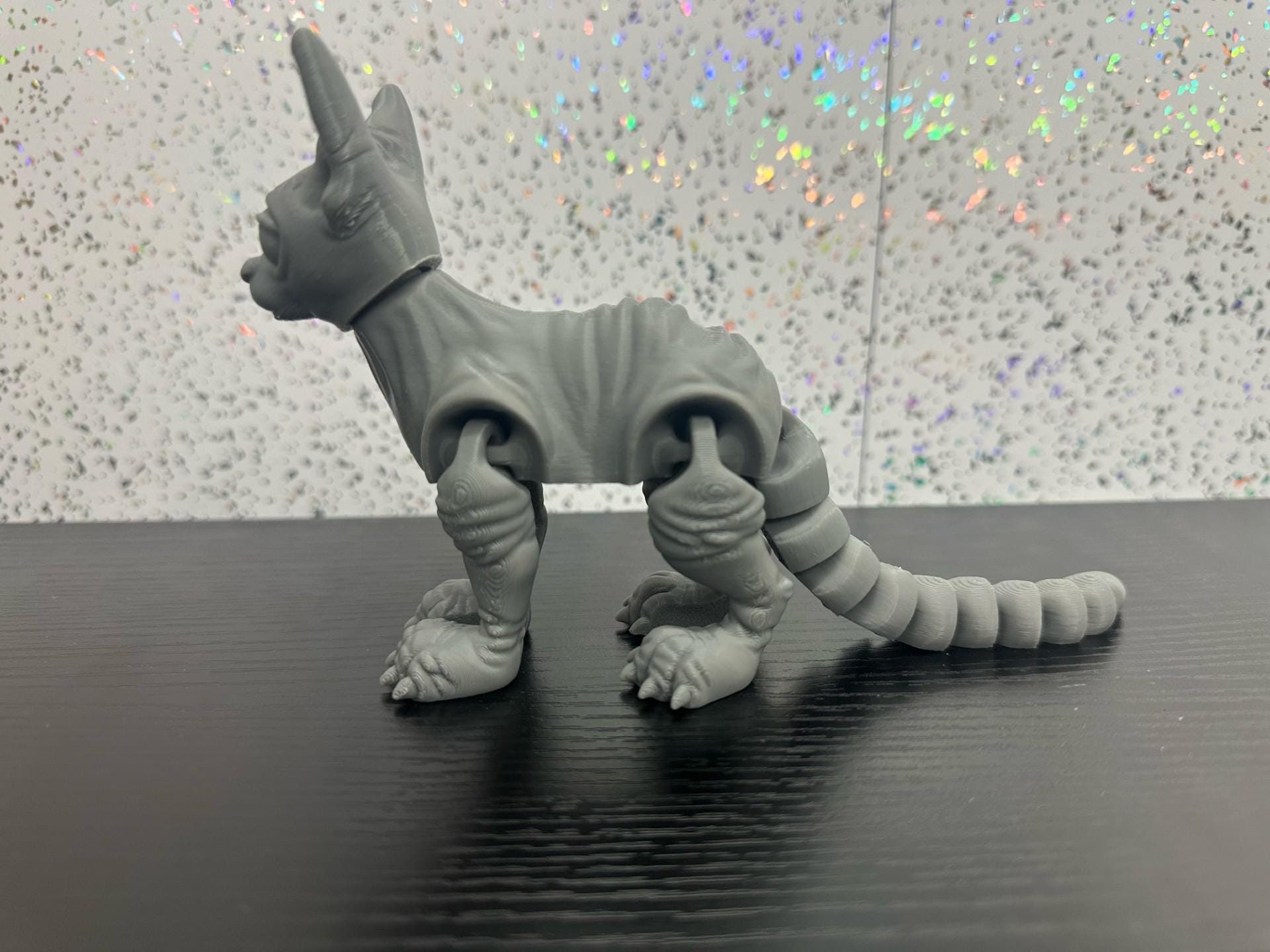 Sphynx Cat