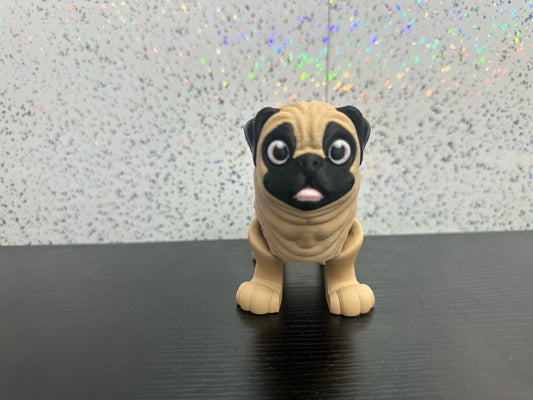 Cute Pug